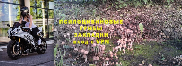 PSILOCYBIN Михайловка